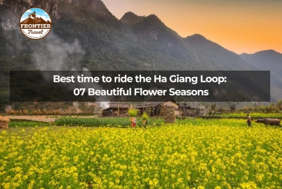 Best Time To Ride The Ha Giang Loop: 7 Beautiful Flower Seasons
