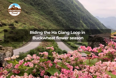 Riding The Ha Giang Loop In  Buckwheat Flower Season