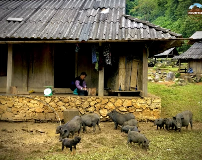 Support Ethnic Minorities' Communities