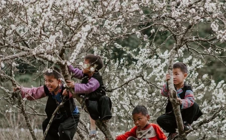 Vietnam Adventure Tour 7 Day Full Far North Frontier Loop