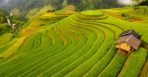 Mu Cang Chai Loop Motorbike Tour | Vietnam adventure tour