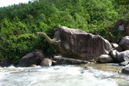 Relaxing on Elephant Springs