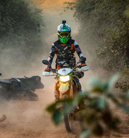 ( 21St - 27Th Oct, 2026) 7-Day Northwest Vietnam Adventure: Ride The Heart Of The Mountains