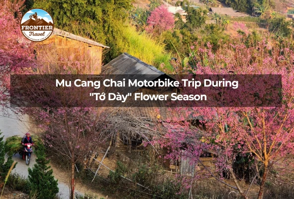 Mu Cang Chai Motorbike Trip During "Tớ Dày" Flower Season