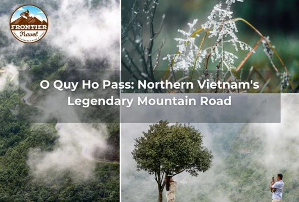 O Quy Ho Pass: Northern Vietnam's Legendary Mountain Road