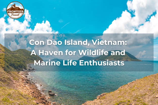Con Dao Island, Vietnam: A Haven For Wildlife And Marine Life Enthusiasts