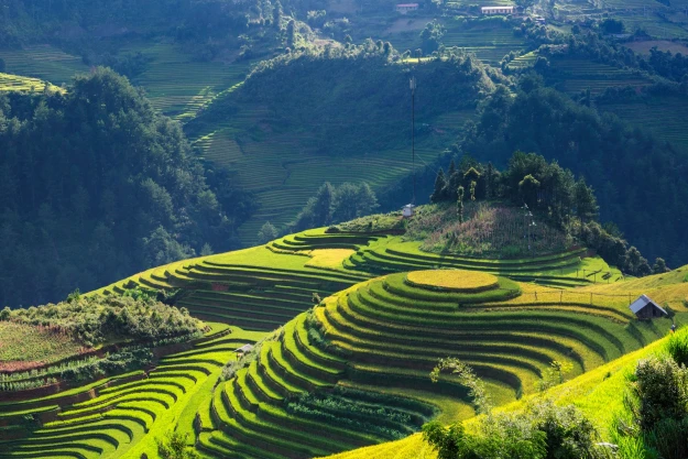 Northern Vietnam Motorbike Tour To Sapa 