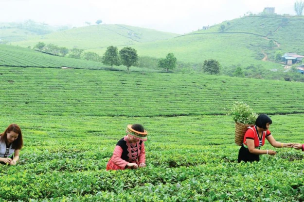 Reasons For You To Travel In Mai Chau On Motorbike