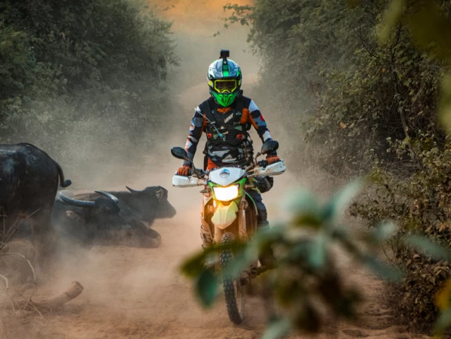 ( 21St - 27Th Oct, 2026) 7-Day Northwest Vietnam Adventure: Ride The Heart Of The Mountains