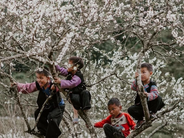 Vietnam Adventure Tour 7 Day Full Far North Frontier Loop