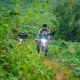 Ha Giang Loop: 5-Day Motorcycle Adventure In North Central Vietnam.