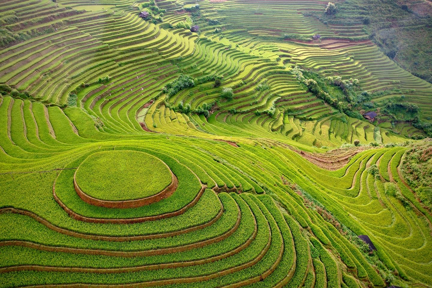 Rice terraced fields in Mu Cang Chai