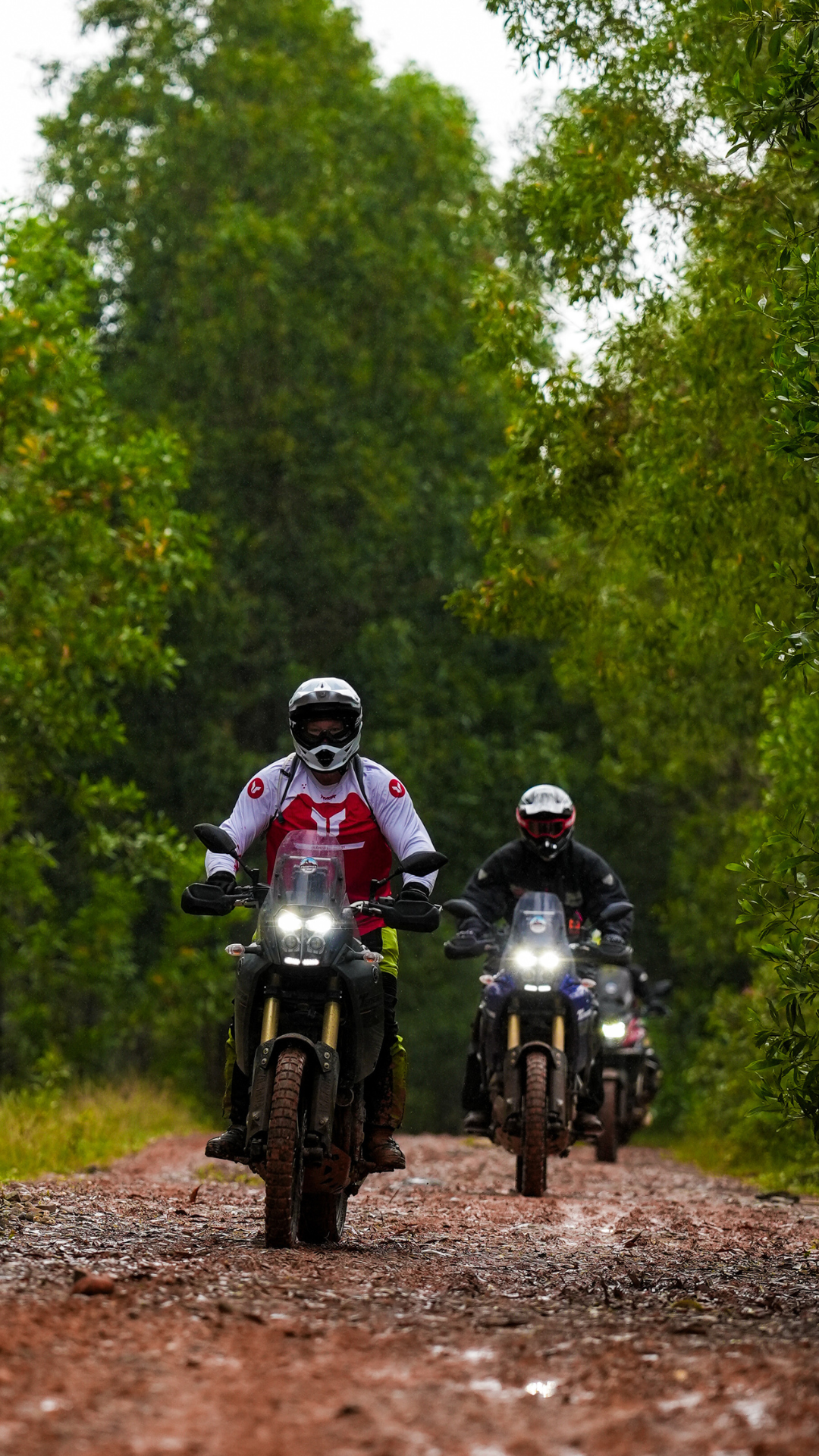 Day 1: (29th March, 2026) Hanoi -  Mai Chau (170 KM/APPROX) (L/D)