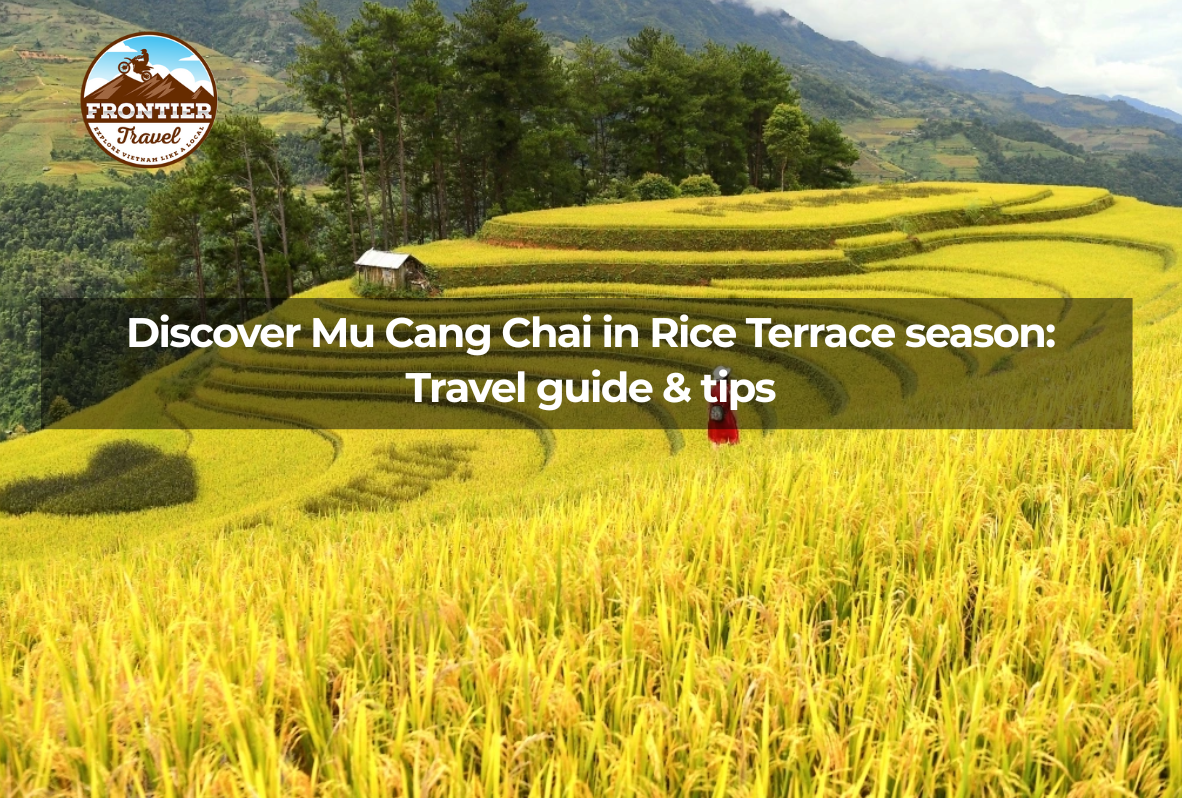 Discover Mu Cang Chai In Rice Terrace Season: Travel Guide & Tips