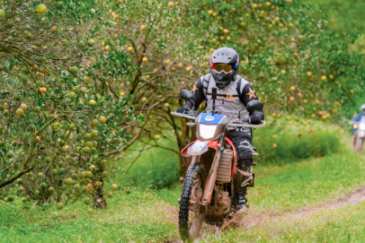 Day 5: (26th Apr, 2026) MU CANG CHAI – SAPA (160 KM / APPROX. 5 HOURS) (B/L/D)