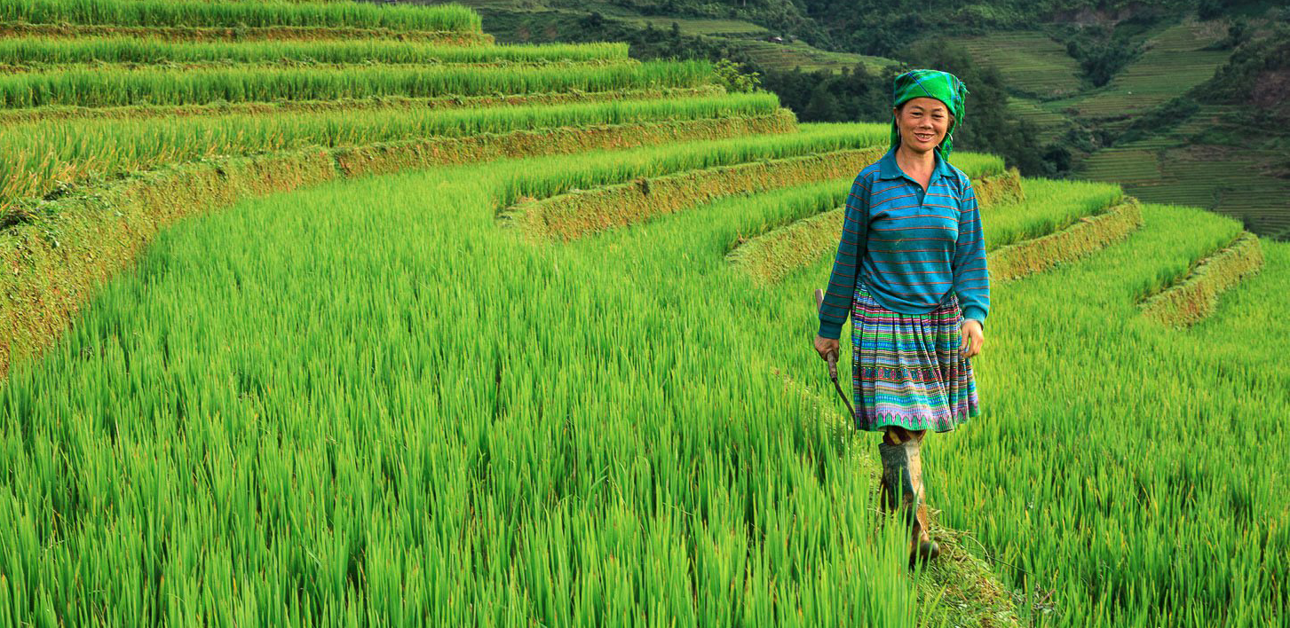 Mu Cang Chai 