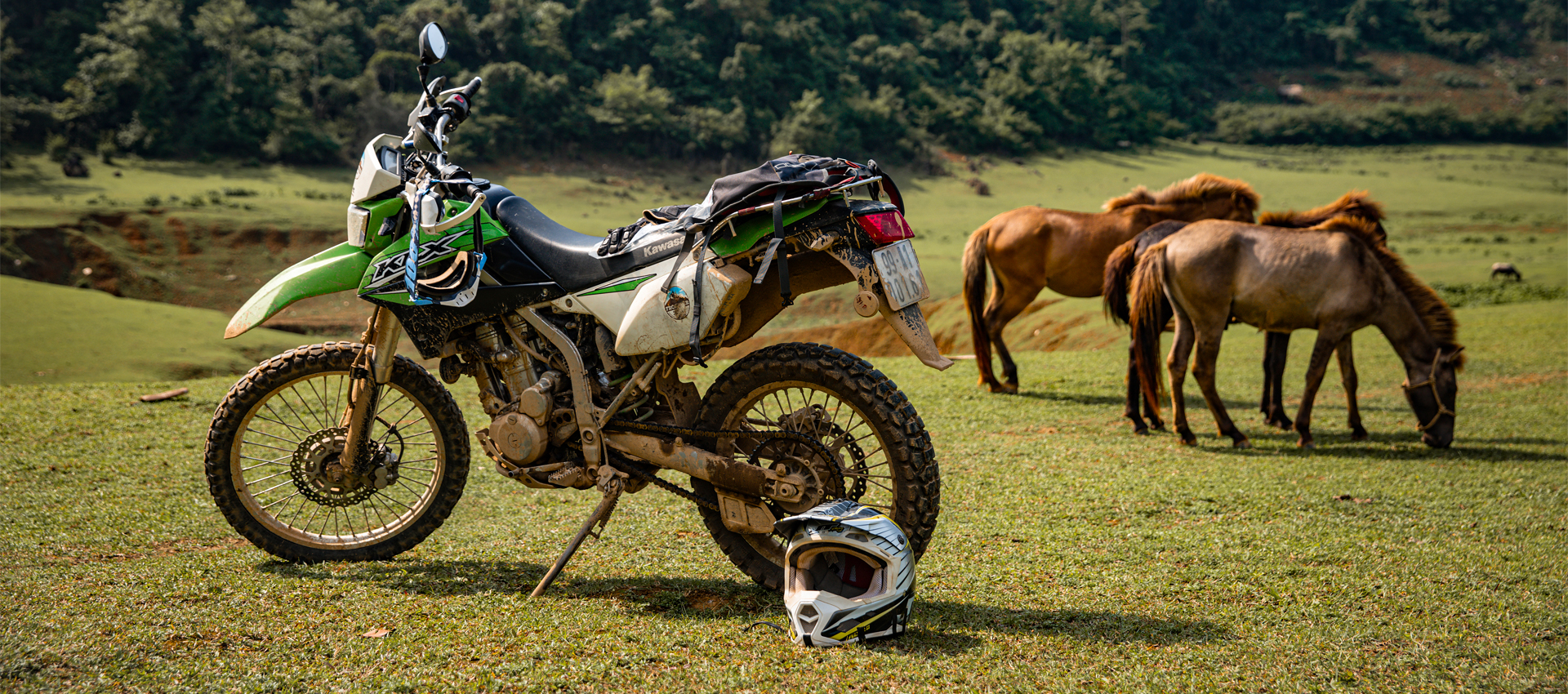 (4Th- 11Th Oct, 2026) The Captivating 8-Day Motorcycle Expedition Through Vietnam'S Timeless Landscapes