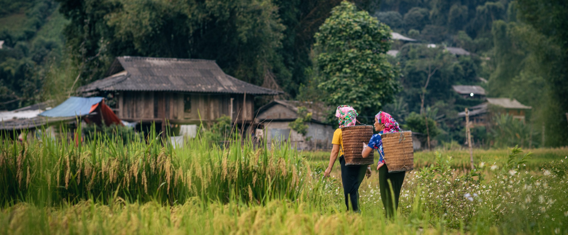 (12Nd–18Th Dec, 2026 ) 7-Day Northeast Vietnam Motorbike Adventure: Conquer Rugged Borders
