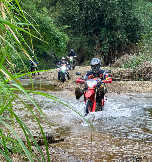Day 14: (9th Nov, 2025) Cat Tien - Sai Gon (APPROX 160KM) (B/L)