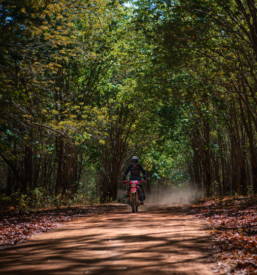 Day 8: (3rd Nov, 2025) Hoi An - Mang Den (APPROX 250KM) (B/L/D)