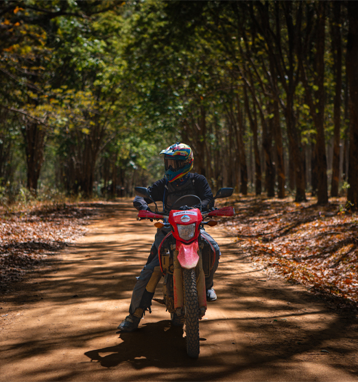 Day 12: (9th April, 2026) Nha Trang - Da Lat (APPROX 150KM) (B/L/D)