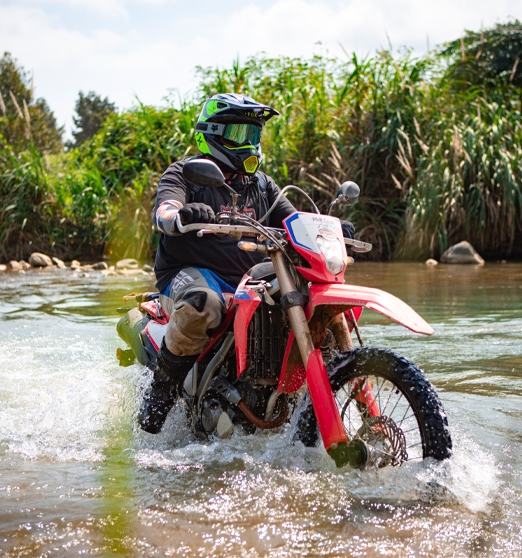 Day 13: (8th Nov, 2025) Da Lat - Cat Tien National Park (APPROX 200 KM) (B/L/D)