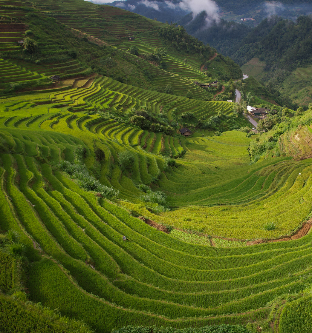 Day 5: MU CANG CHAI EXPLORATION (B/L/D)
