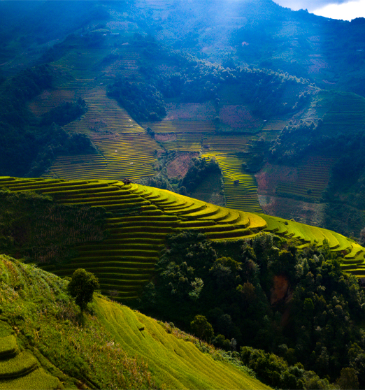 Vietnam Adventure 6-Day Tour To Northwest