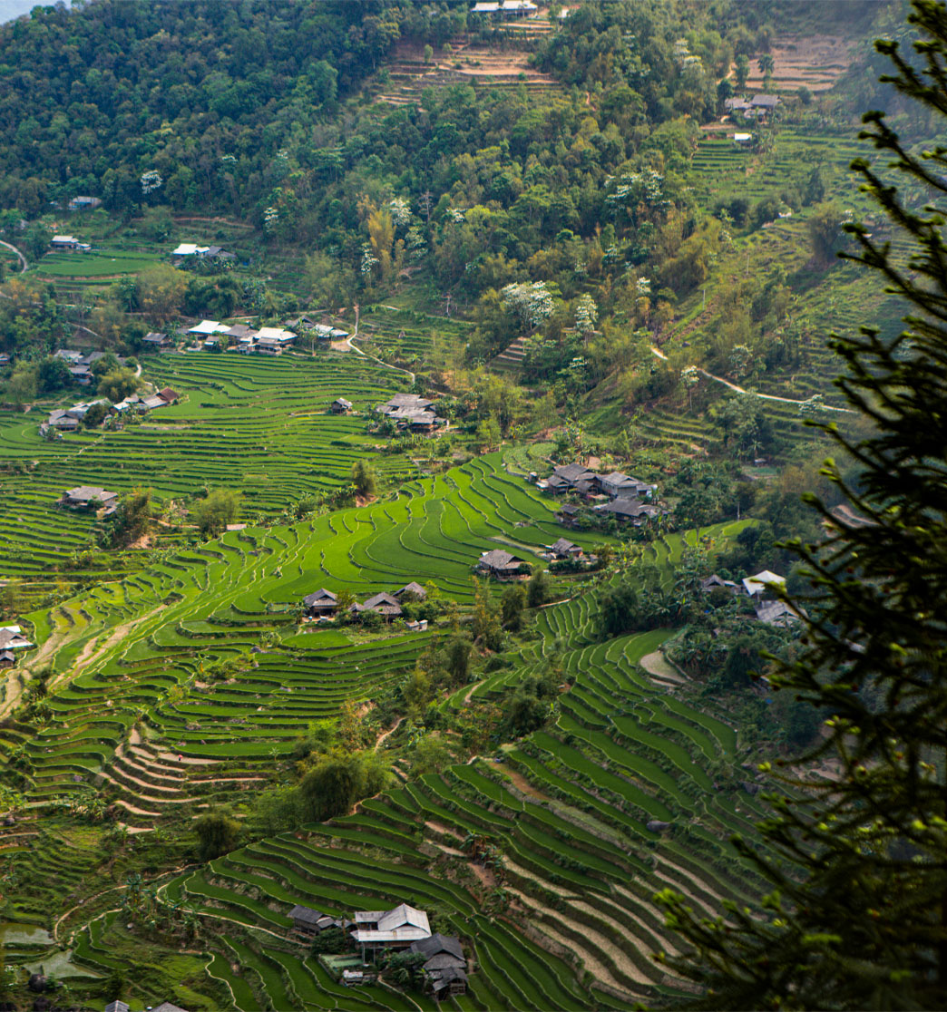 Day 2: Mai Chau - Pu Luong Nature Reserve - Ninh Binh (B/L/D)