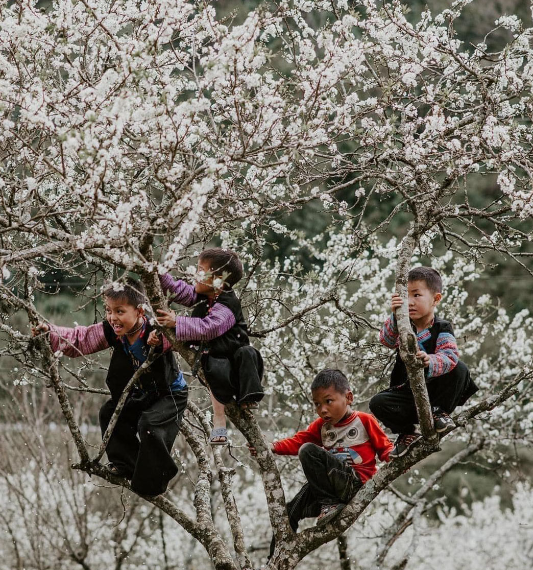 Vietnam Adventure Tour 7 Day Full Far North Frontier Loop