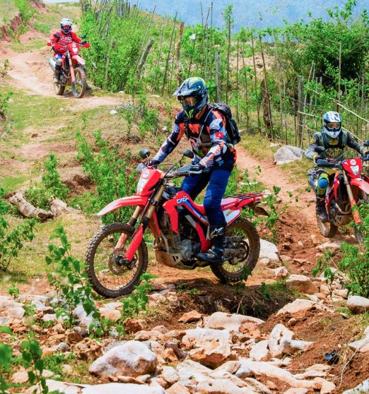 (20Th–26Th Feb 2027) Northwest Vietnam In Bloom: 7-Day Motorcycle Tour