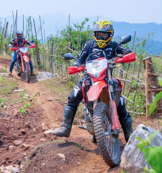 (3Rd–9Th Aug 2027) Through Clouds & Valleys: 7 Days In Northwest Vietnam