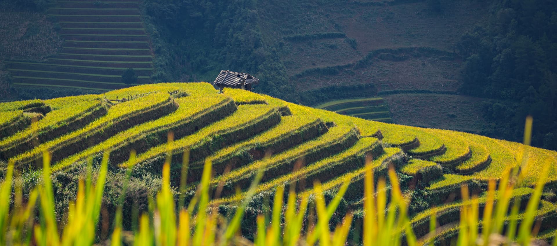 ( 15Th - 21St, April, 2026 ) 7 Days Northeast Vietnam Motorbike Tour: Full Route, Itinerary & Booking Guide