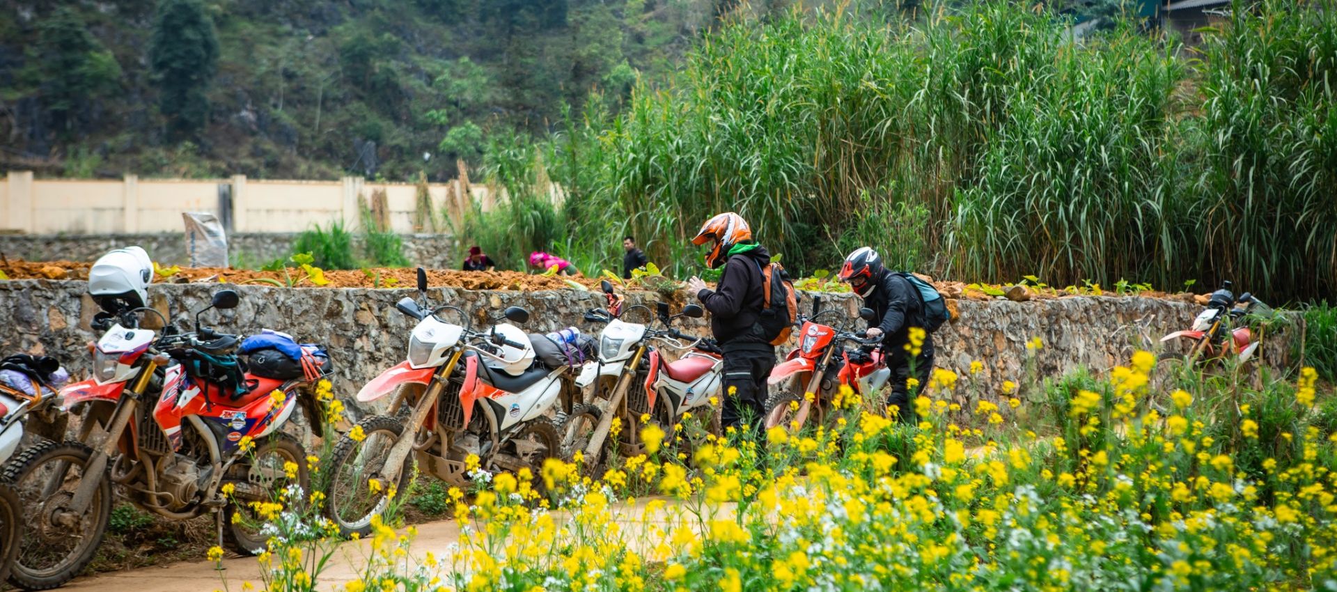 (30Th Nov – 6Th Dec, 2026) 7-Day Spectacular Northeast Vietnam Motorcycle Adventure