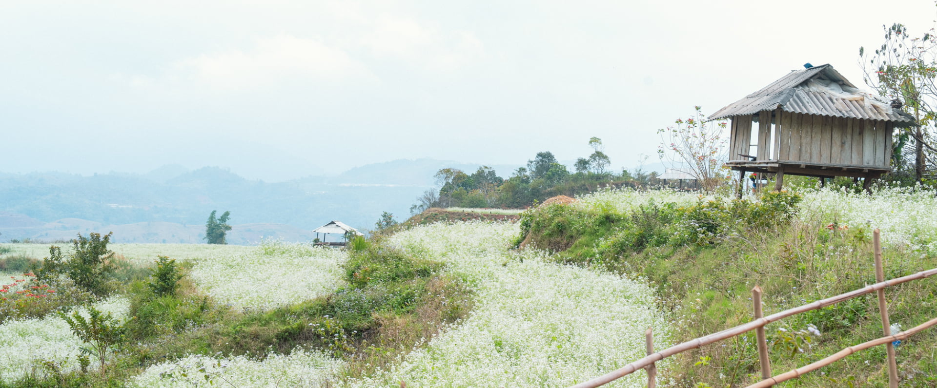 Ha Giang 3-Day Motorbike Adventure Tour