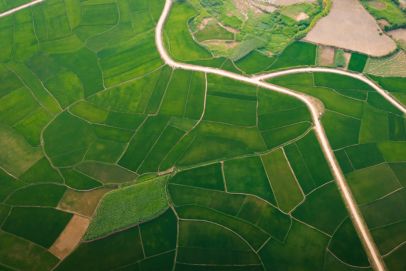 Day 6: (30th Aug 2026) Ban Gioc Waterfall – Ba Be Lake (Approx. 180 Km)	 (B/L/D)
