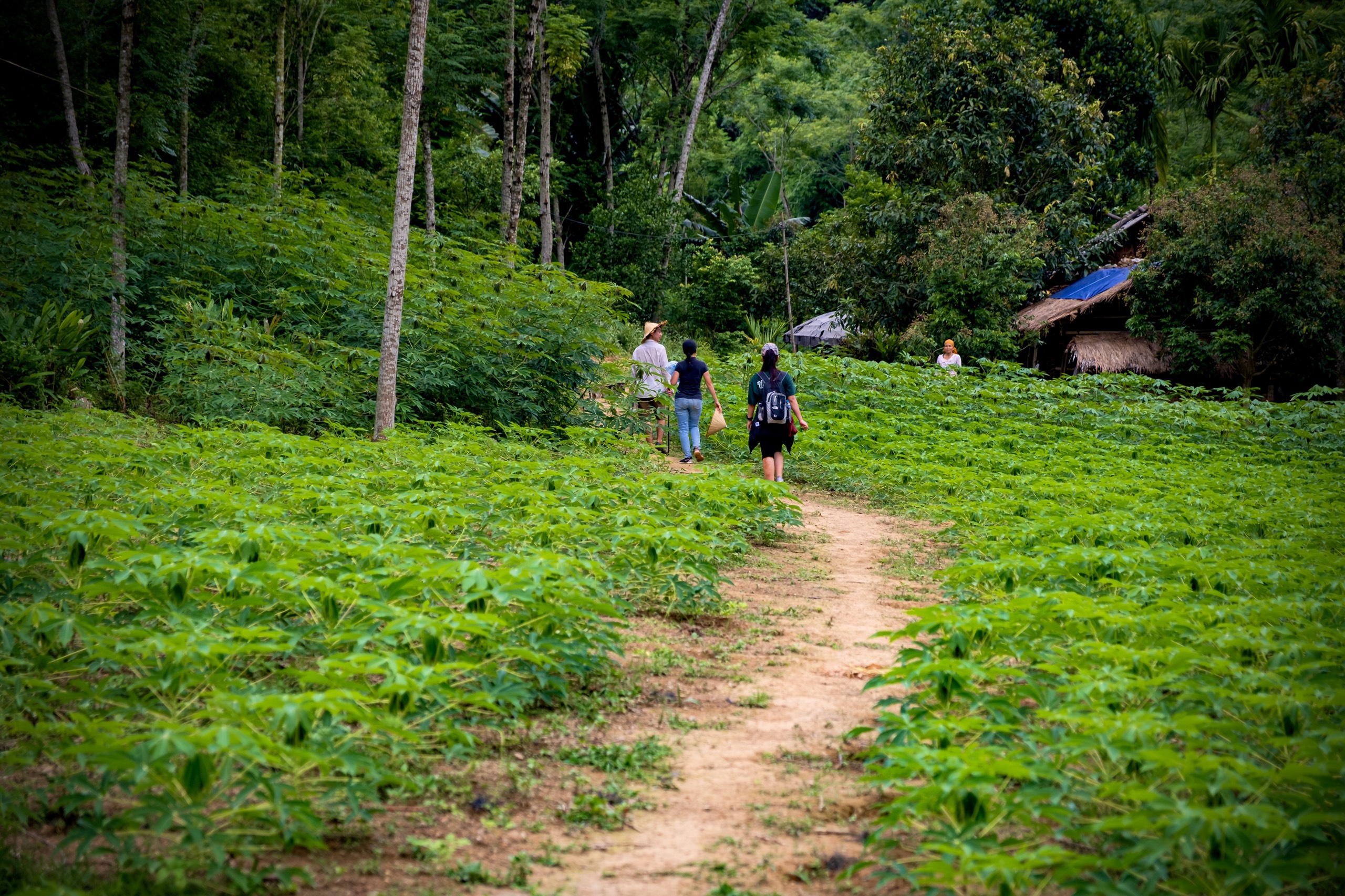 Day 3: Mai Chau With Love Homestay - Trekking - Hanoi (B/L)