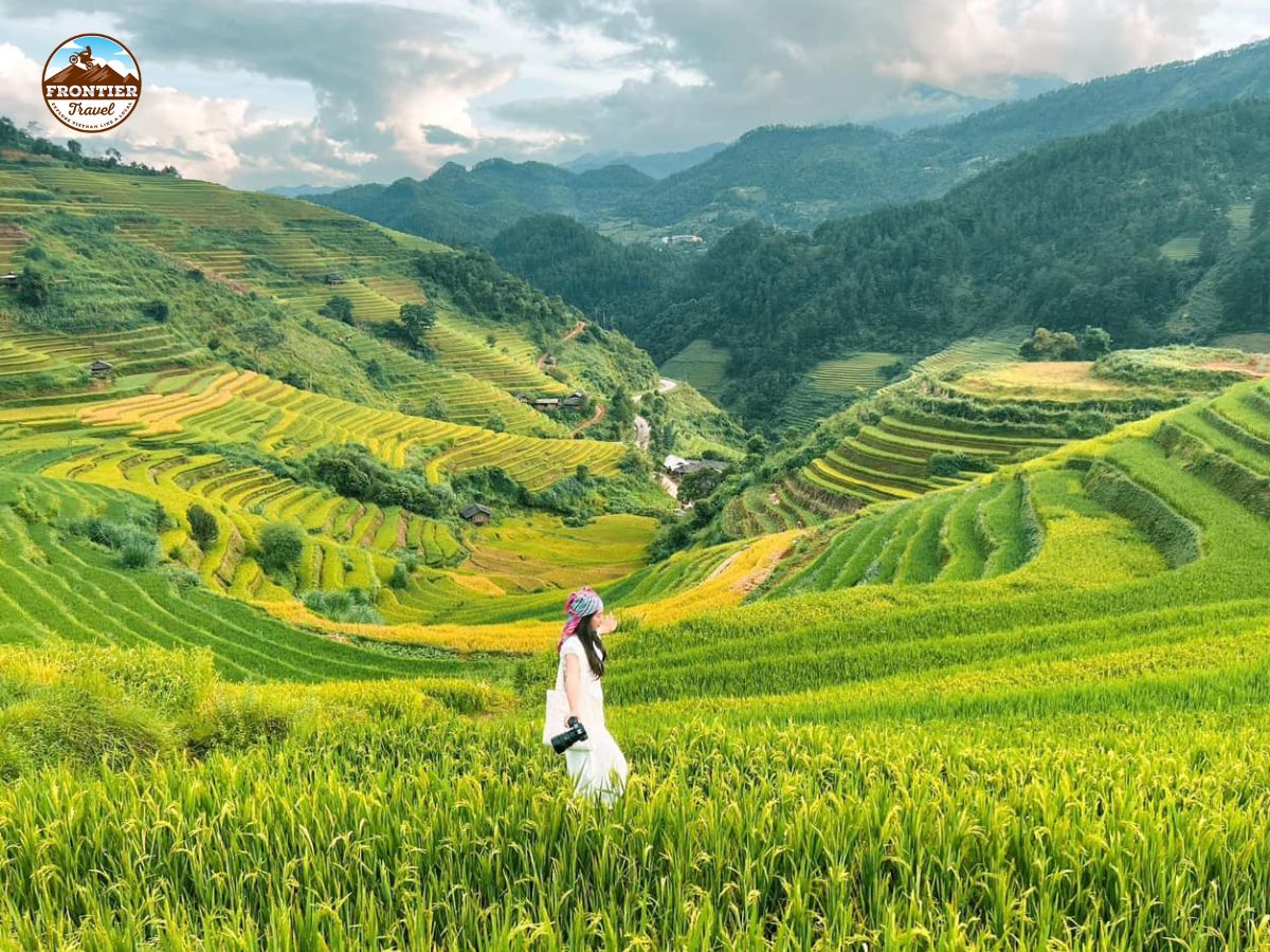 Conquer Mu Cang Chai: A Motorbike Journey Across Northern Vietnam’s Mountain Roads