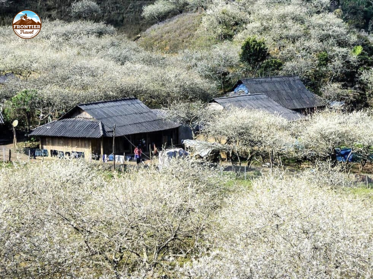Motorbike Trip to Bac Ha: The White Plateau Heritage Region of Lao Cai