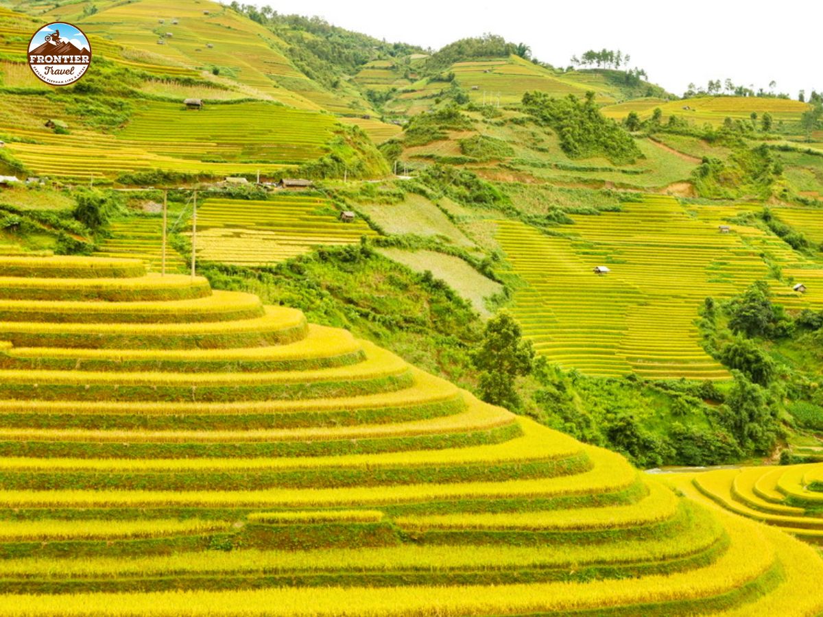 Conquer Mu Cang Chai: A Motorbike Journey Across Northern Vietnam’s Mountain Roads
