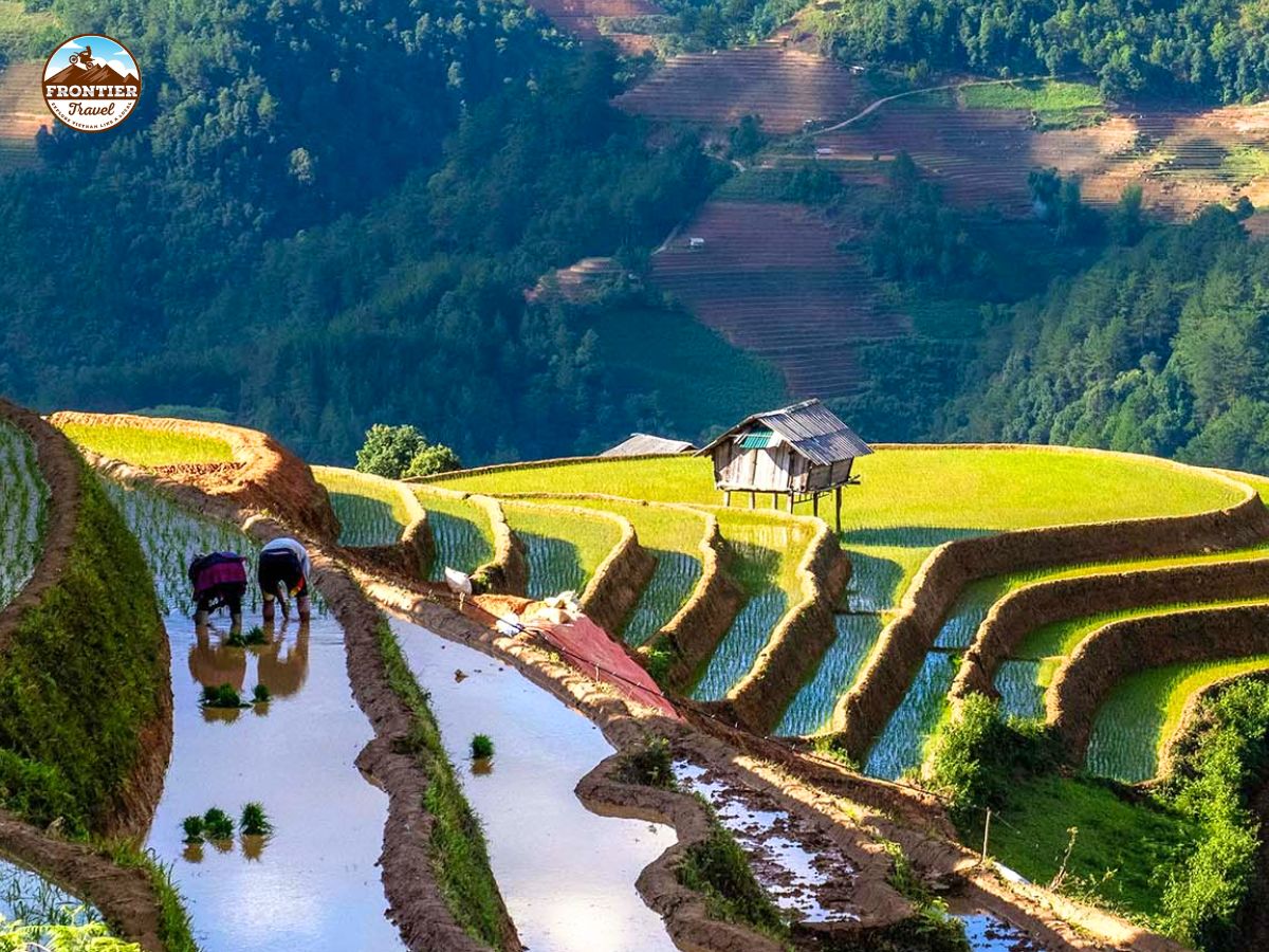 Conquer Mu Cang Chai: A Motorbike Journey Across Northern Vietnam’s Mountain Roads