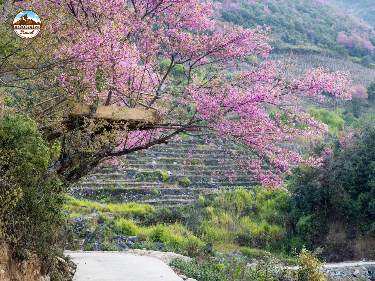 Mu-Cang-Chai-Motorbike-Trip