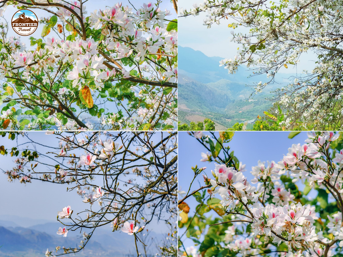 Riding-a-motorbike-through-Moc-Chau
