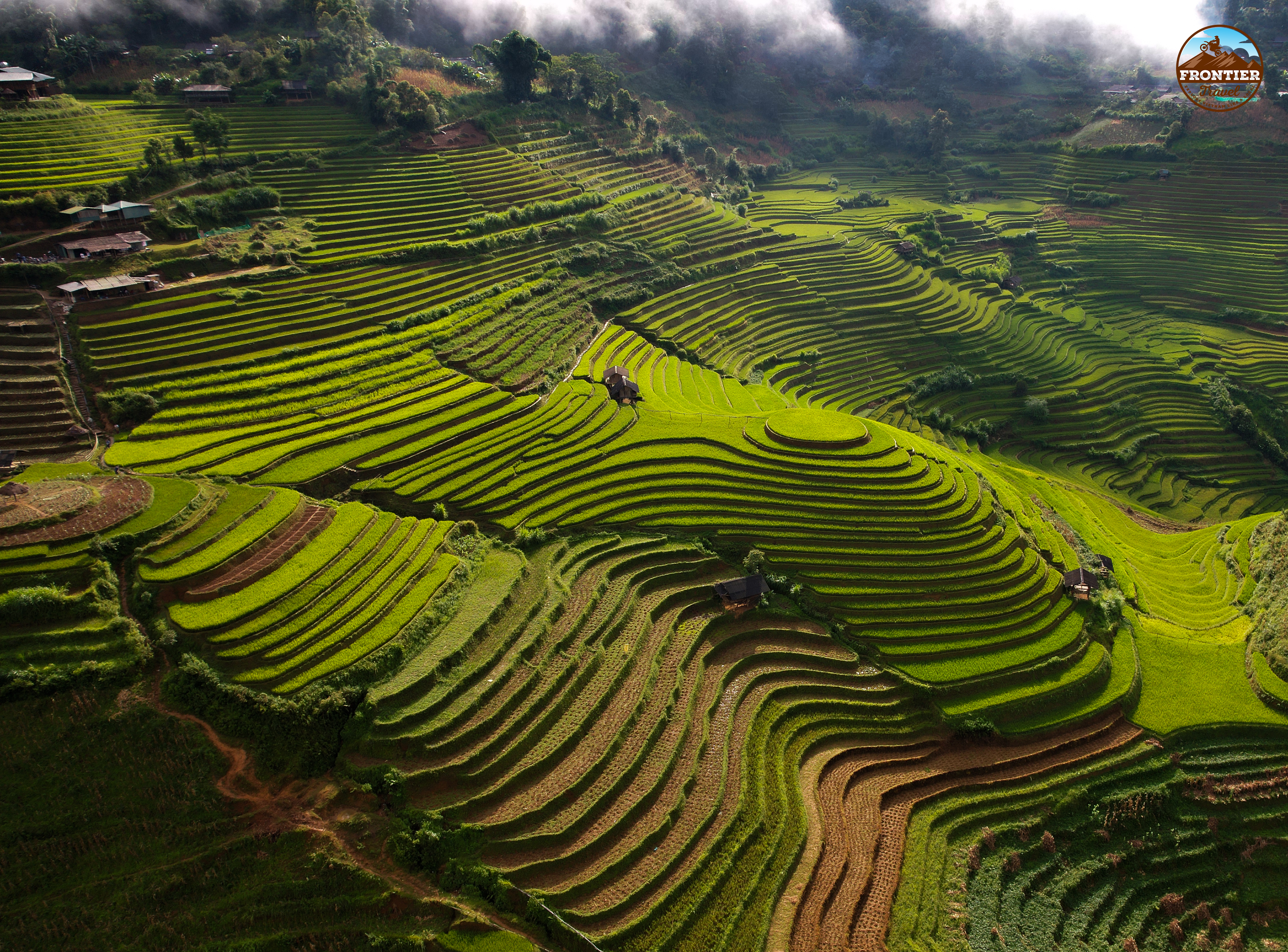 rice terraced field