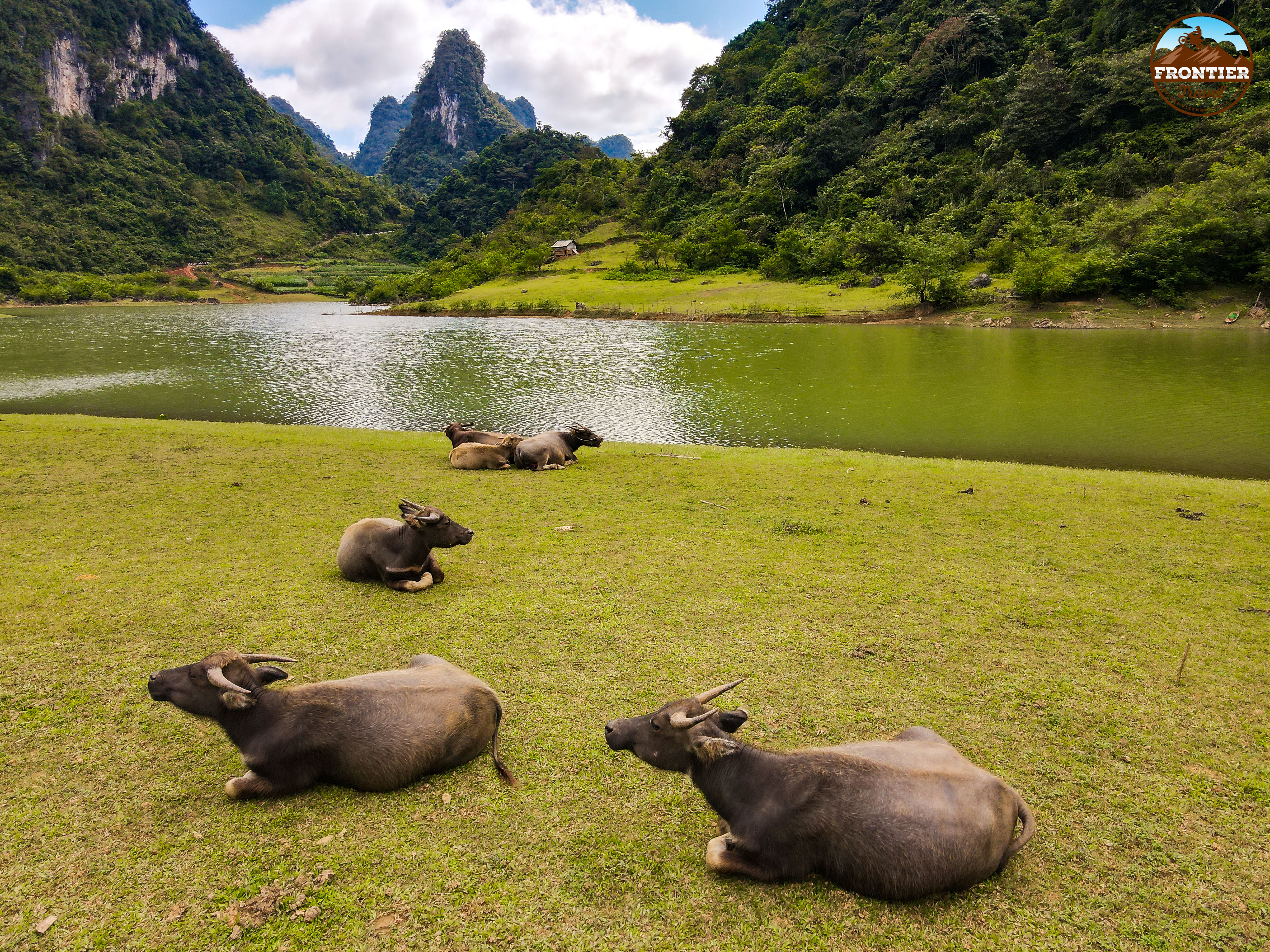 Day 7: Ba Be Lake - Ha Noi (B/L)