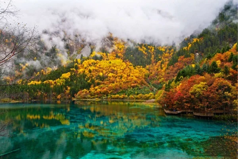 “Turquoise lake surrounded by autumn-colored forests in Jiuzhaigou Valley, China”