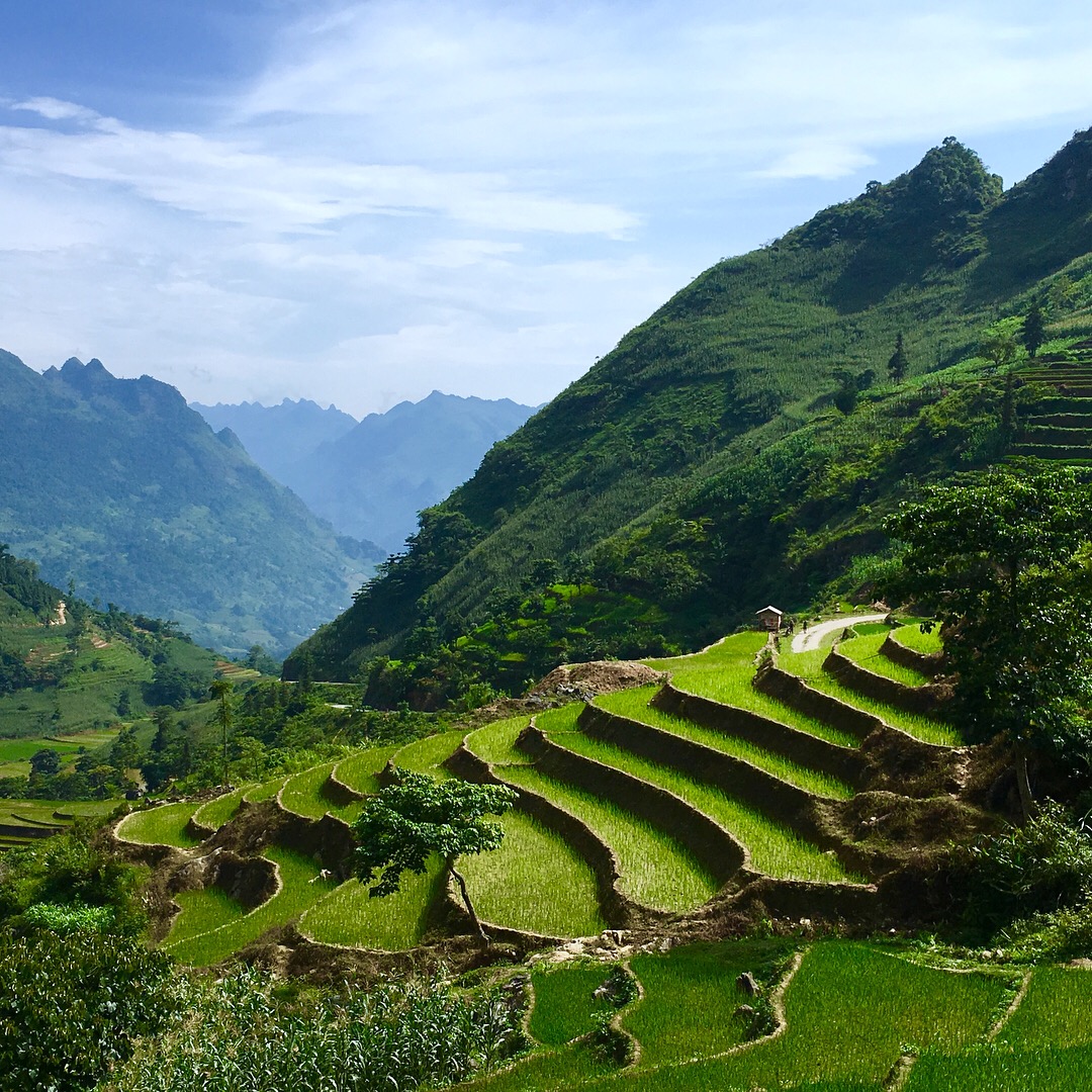 Day 6: MU CANG CHAI - HA NOI (B/L)