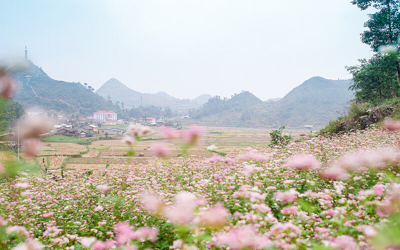 Ha Giang motorbike travel tour