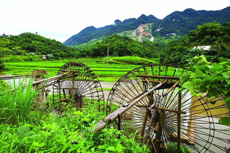 Northern Vietnam