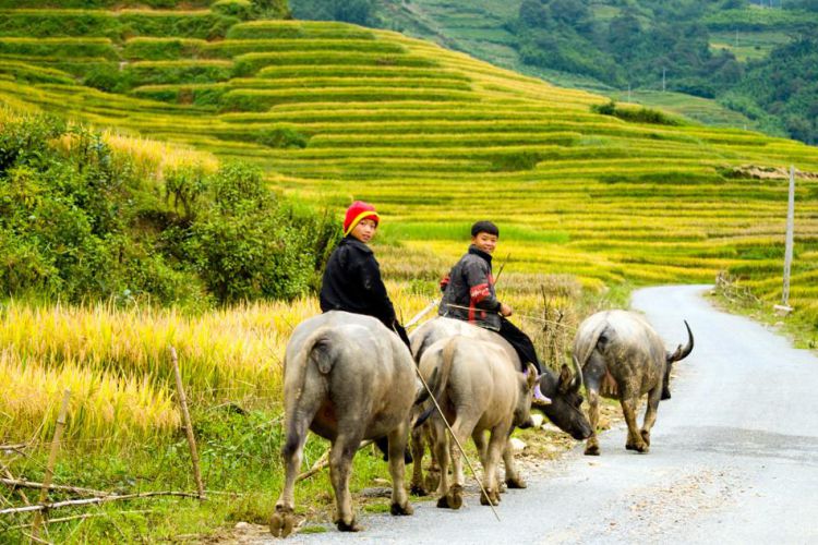 Motorbike travel experience